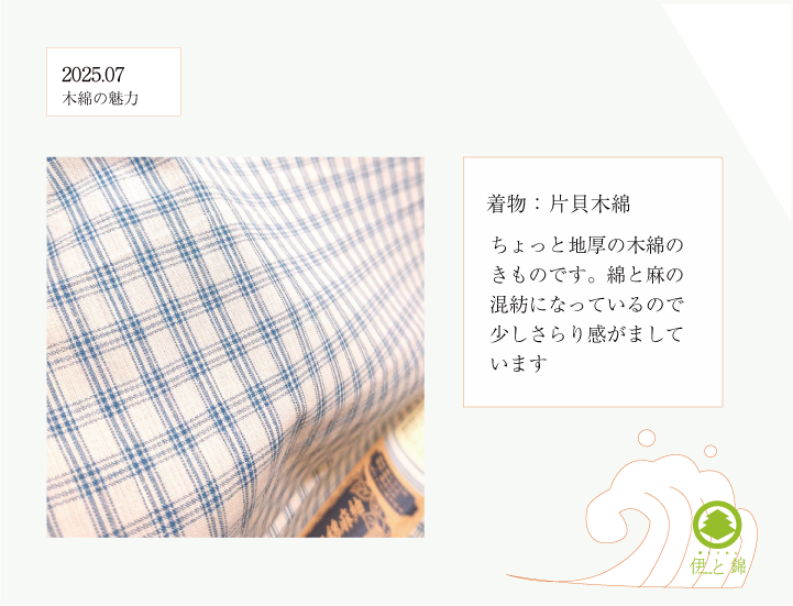 きものコーディネート